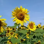 House Hommert Hoensbroek