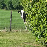 House Hommert * Hoensbroek