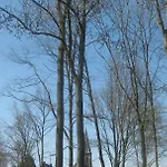 House Hommert Hoensbroek