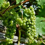 House Hommert 度假居