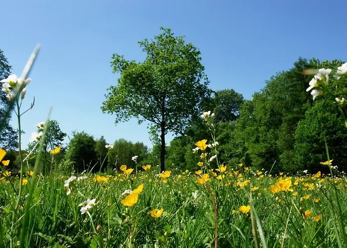 House Hommert Holiday home